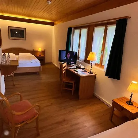 Hotel Roc Et Neige 3* Chateau-d'Oex