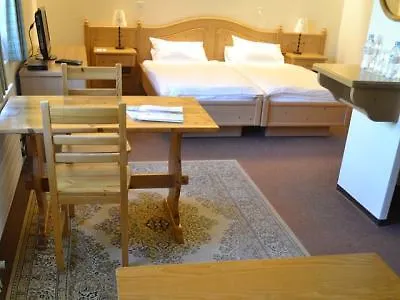 Hotel Roc Et Neige 3* Chateau-d'Oex