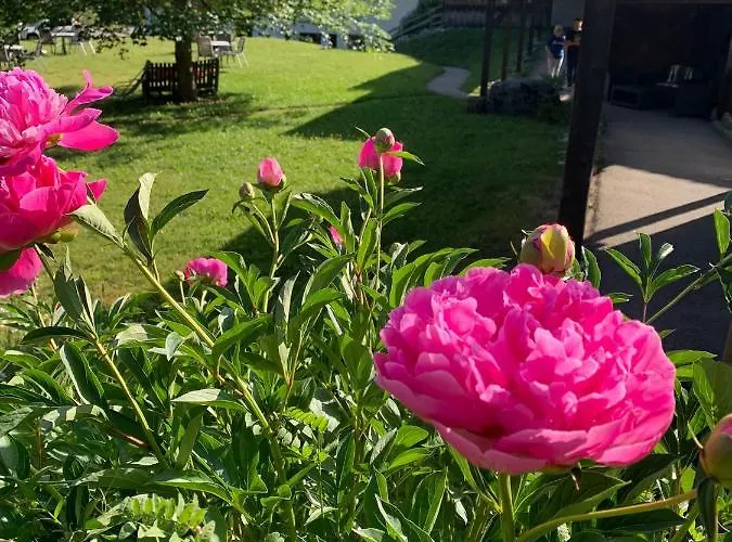 Roc Et Neige Hotel 3*