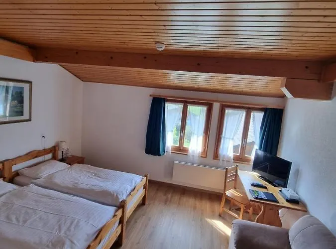 Roc Et Neige Ξενοδοχείο Chateau-d'Oex