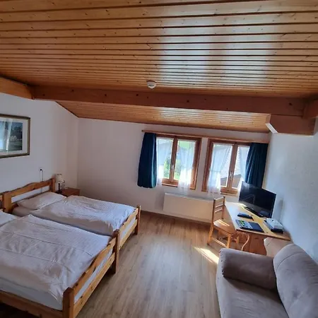 Roc Et Neige Hotel Château-d'Œx